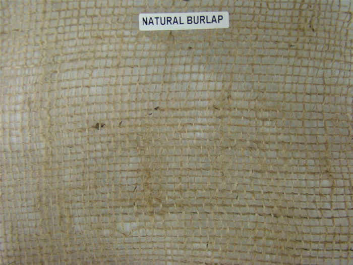 Natural_Burlap_4_4a96d9d93f02e.jpg