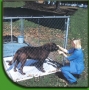 Shady Dog Kennel Shade 12' x 12' 60% Black