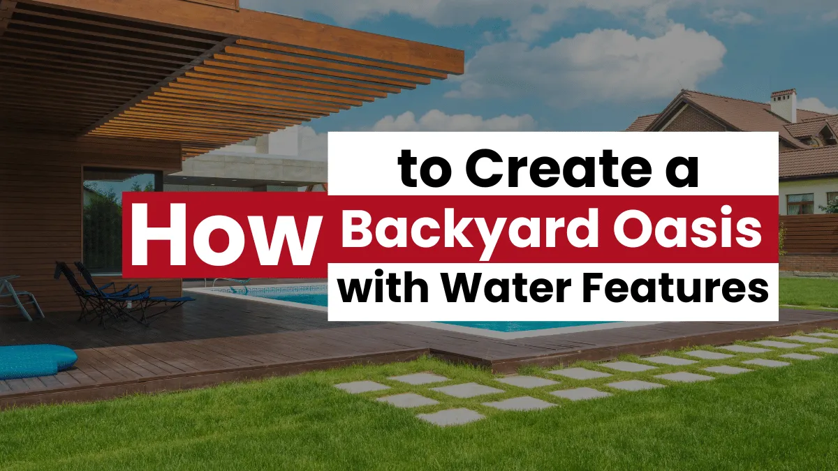 How to Create a Backyard Oasis with Water Features