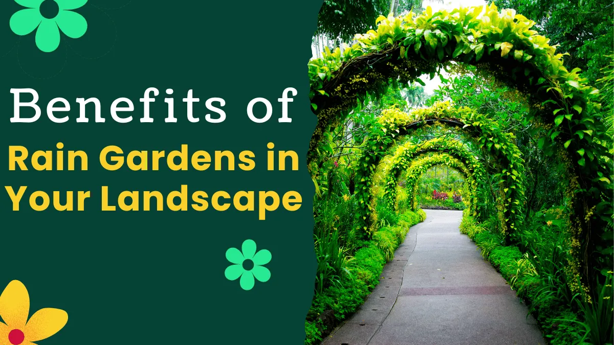 The Benefits of Rain Gardens in Your Landscape