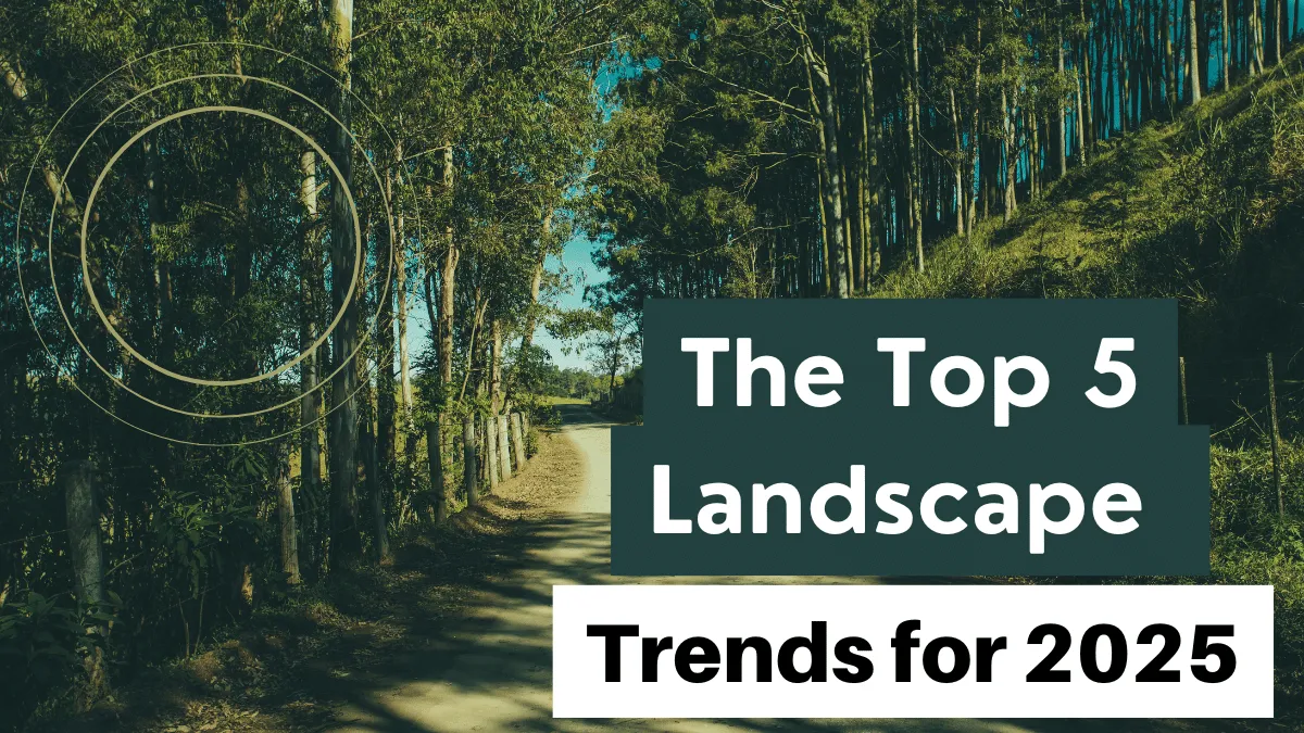 The Top 5 Landscape Trends for 2025